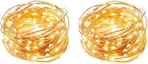 Pack of 2 USB Powered Fairy LED Lights 5M/16 Ft. 50 LEDs, USB Plug in Waterproof Copper Wire String Lights Firefly Lights for Jars, Christmas Tree Decoration, Birthday Party (Warm White) (5M/16 Ft.)