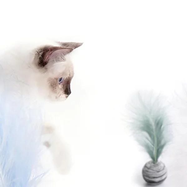 Cat Toy Star Texture Ball Feather Foam Ball Feather EVA Material Light Foam Ball Throwing Toy Interactive Ball Pet Cat Supplies - Image 3